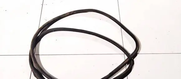 Volkswagen Touareg I Rubber seal front coupe door 