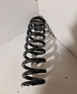Rear coil spring