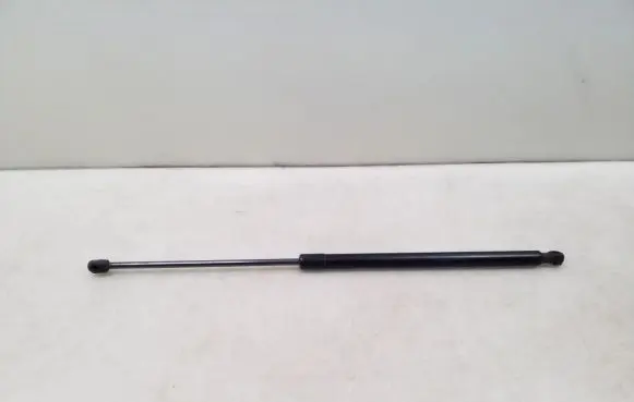 Tailgate strut