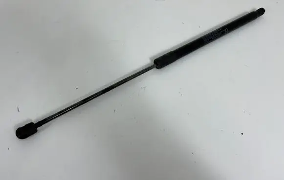 Tailgate/trunk strut/damper