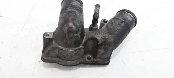 Thermostat/thermostat housing