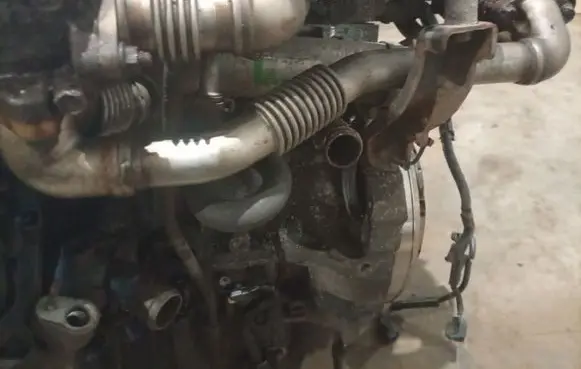 Honda FR-V EGR valve line/pipe/hose