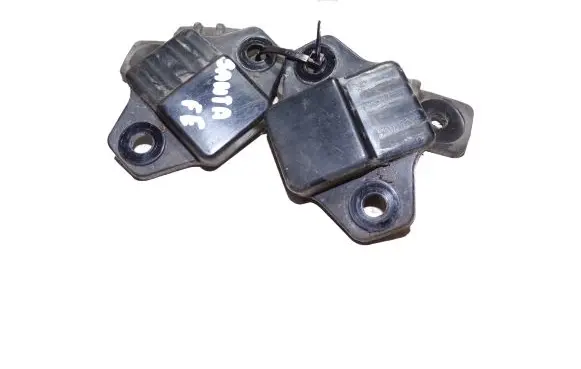 Hyundai Santa Fe Front door check strap stopper ETE62KF1