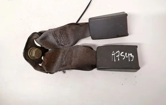Middle seatbelt buckle (rear)