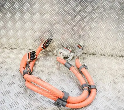 Lexus IS III XE30 Other wiring loom G114853020 G214853020