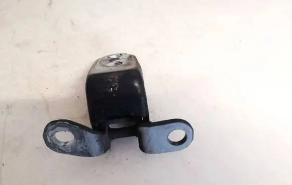 Rear door lower hinge