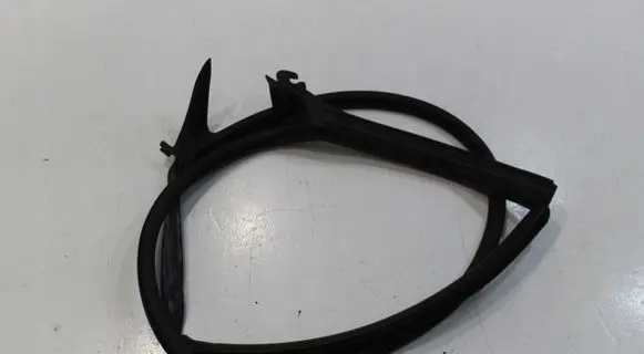 Volkswagen Arteon Rubber seal rear door 3G8868119L