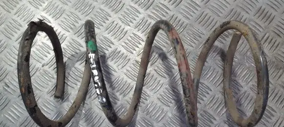 Front coil spring