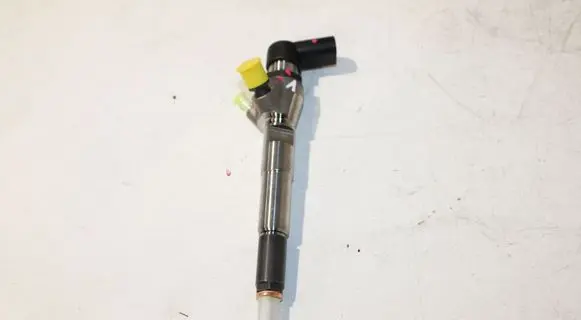 Nissan Qashqai Fuel injector H8200704191 166008052R