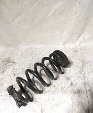 Rear coil spring