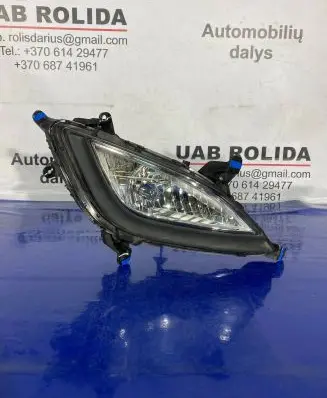 Hyundai i20 (PB PBT) Front fog light 13464