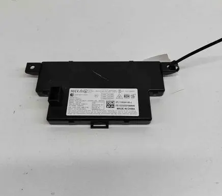 Tesla Model Y Door central lock control unit/module 110024100J