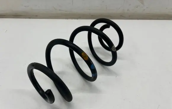 Rear coil spring