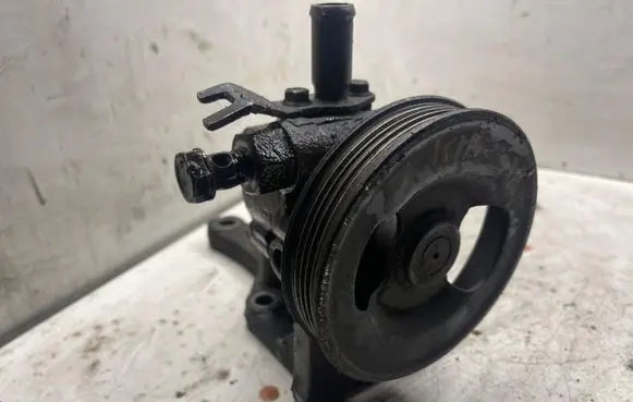 Hyundai Terracan Power steering pump