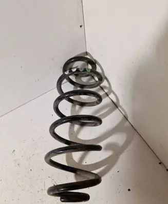 Rear coil spring