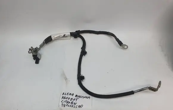 Peugeot 2008 I Negative earth cable (battery) 9816283580