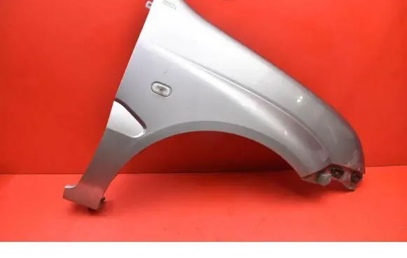 Suzuki Ignis Fender 