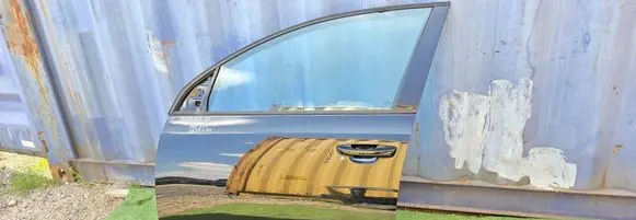 Volkswagen Golf VI Front door