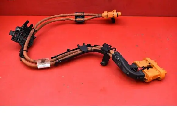 Volkswagen ID.3 Other wiring loom 1EA971015S