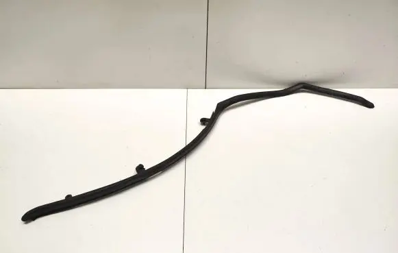 BMW X6 F16 Rear door rubber seal (on body) 7324750
