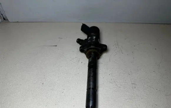 Volvo V50 Fuel injector 0445110259 328480