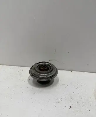 Aixam 500 Thermostat 
