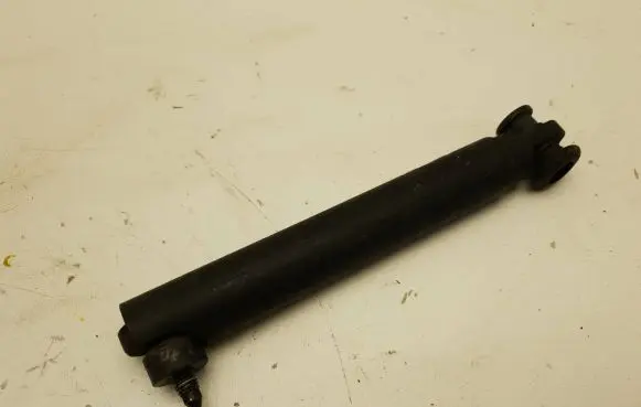 Tailgate/trunk strut/damper