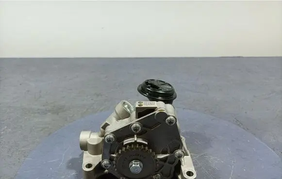 Galloper Exceed Oil pump 