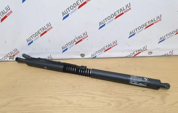BMW 3 GT F34 Tailgate/trunk strut/damper 7298983