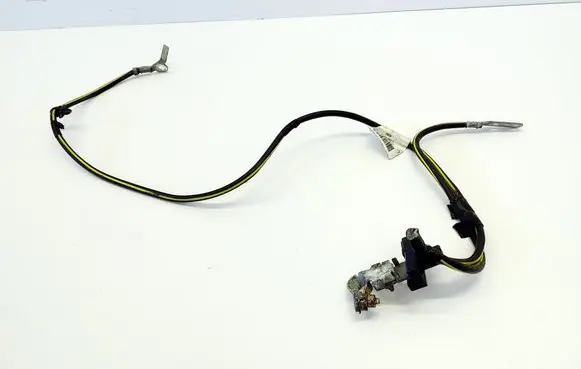 Negative earth cable (battery)