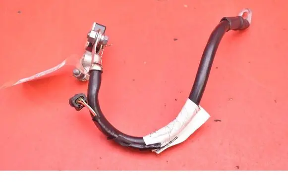Other wiring loom