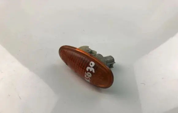 Front fender indicator light