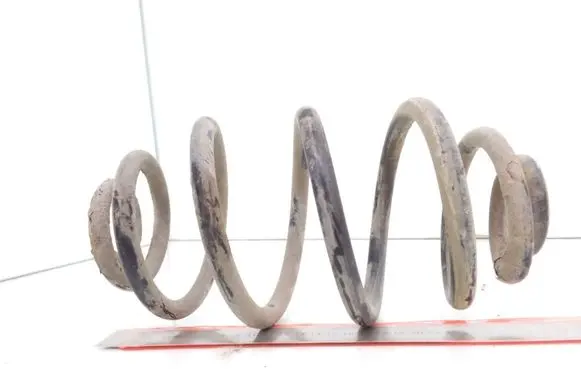 Volkswagen PASSAT B5 Rear coil spring