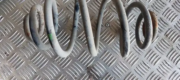 Volkswagen PASSAT B5 Rear coil spring