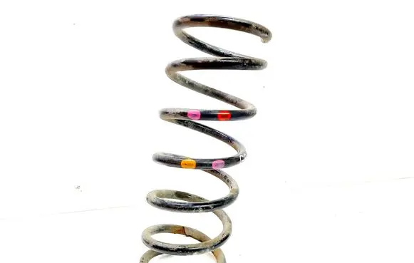 Ford Grand C-MAX Rear coil spring