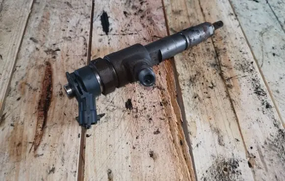 Citroen C3 Picasso Fuel injector 0445110340