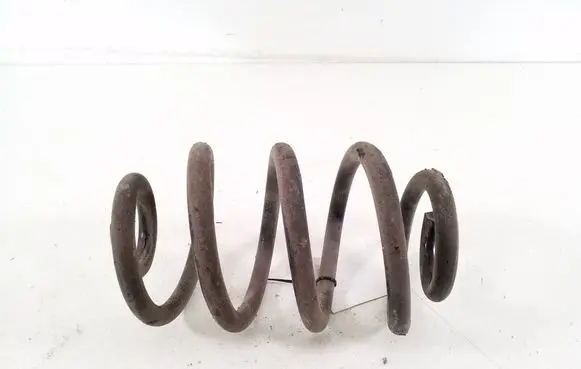 Nissan Leaf II (ZE1) Rear coil spring 550205SJ1B