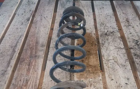 Volkswagen Golf V Rear coil spring