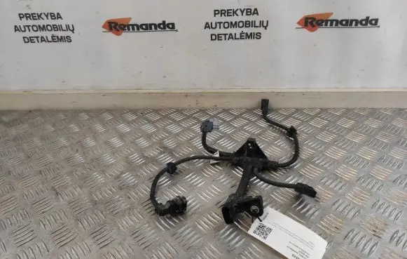 Toyota RAV 4 (XA50) Engine installation wiring loom 8221933140D