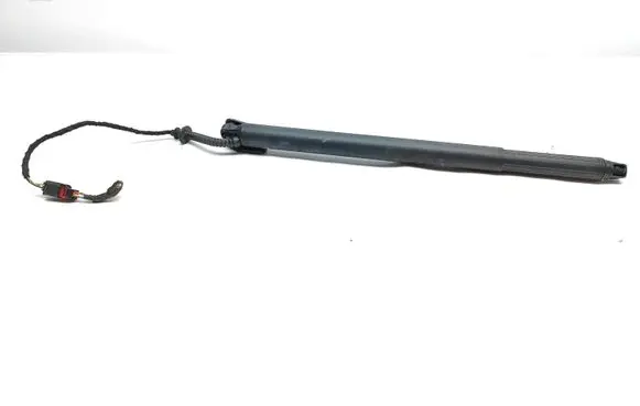 Tailgate/trunk strut/damper