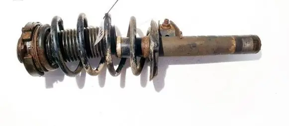 Skoda Octavia Mk2 (1Z) Front shock absorber/damper 334834
