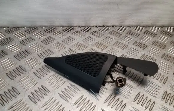 Front door high frequency speaker