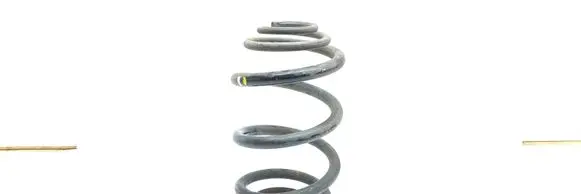 Renault Trafic III (X82) Rear coil spring