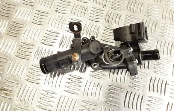 Thermostat/thermostat housing