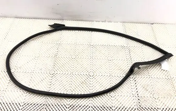 Volkswagen Arteon Rubber seal front door (on door) 