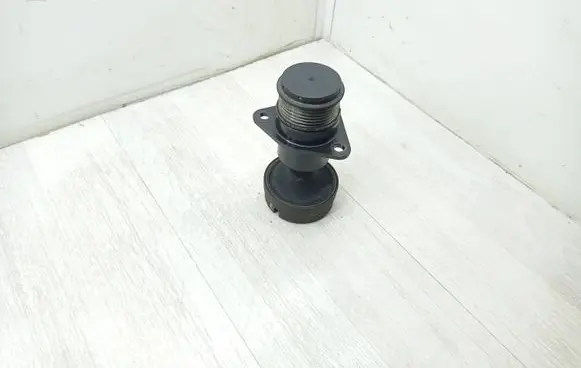 Ford Focus Alternator pulley 