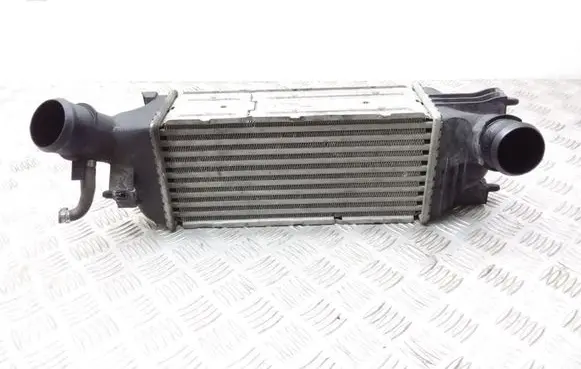 Citroen C5 Intercooler radiator 9650613280 876941VD