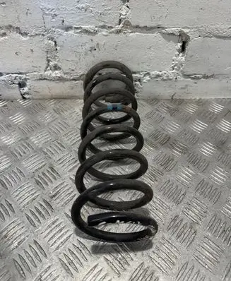 Ford Focus C-MAX Rear coil spring