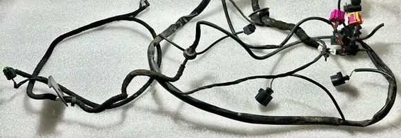 Other wiring loom