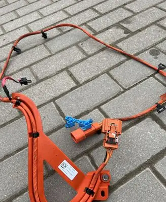 Other wiring loom